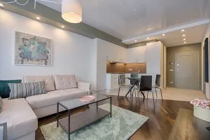 living room decoration_nashville apartment finders & locators