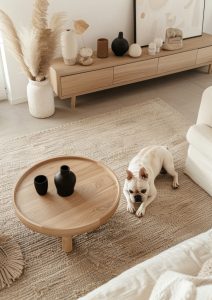 frenchie breed dog in a living room_Medium Sized Dog Apartment