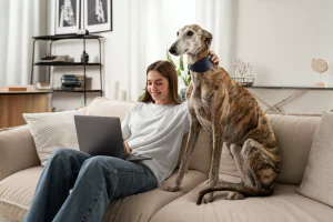 girl looking at laptop in an apartment with a dog in the couch_great dog apartment